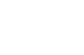 vice